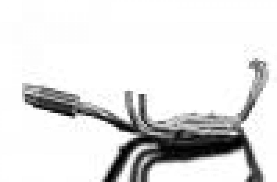 HONDA VFR1200X 2012-2019 Echappement Complet 4-1 DECAT Pot200 Rond Carbone PISTE